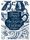 The Joys of Excess (eBook)